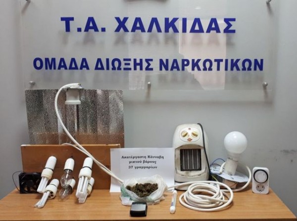 ΧΑΛΚΙΔΑ: Είχε στήσει εργαστήριο υδροπονικής καλλιέργειας χασίς στο σπίτι του 38χρονος Χαλκιδέος
