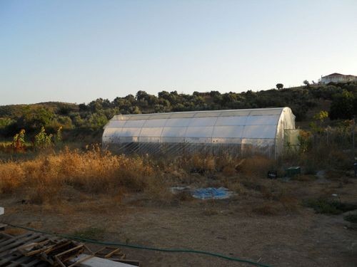 Φοβερό μπαφοθερμοκήπιο στο Αλιβέρι