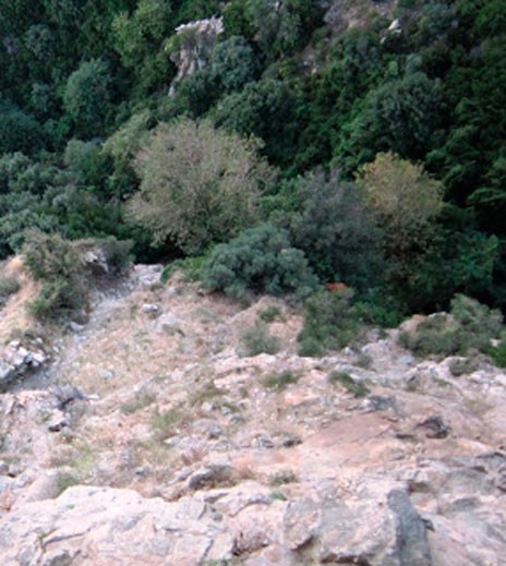 Κάρυστος: Νεκρός άνδρας μέσα σε ρεματιά