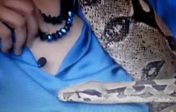 Βόας δάγκωσε χορεύτρια!