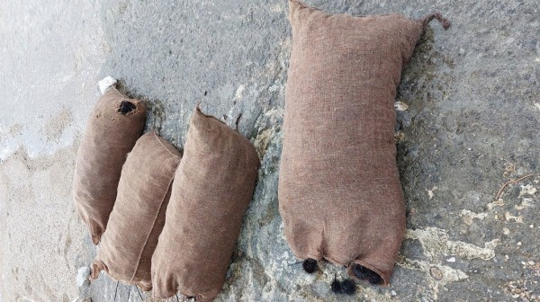 ΜΑΛΕΣΙΝΑ: 29χρονος ψάρεψε παράνομα 3024 αχινούς με ελεύθερη κατάδυση