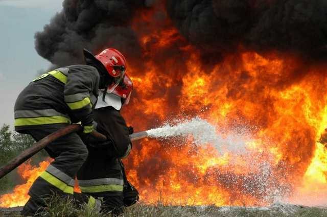 ΨΑΧΝΑ: Ξέσπασε πυρκαγιά στον Αγιο Ιωάννη Καλυβίτη