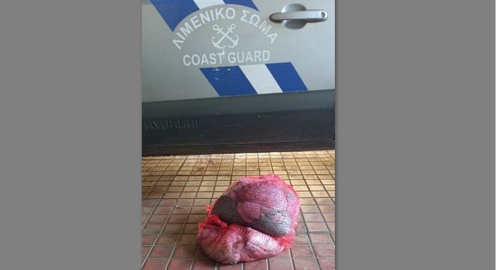 Επαγγελματικό σκάφος ψάρευε παράνομα χταπόδια στο Βόρειο Ευβοϊκό κόλπο