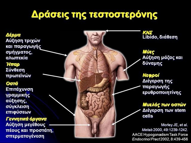 Επτά σημάδια που δείχνουν έλλειψη τεστοστερόνης στον άντρα