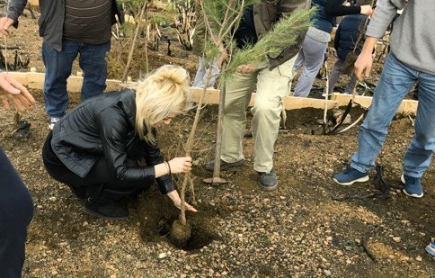 Η Λίνα Ευσταθίου στην αναδάσωση της περιοχής της Λίμνης