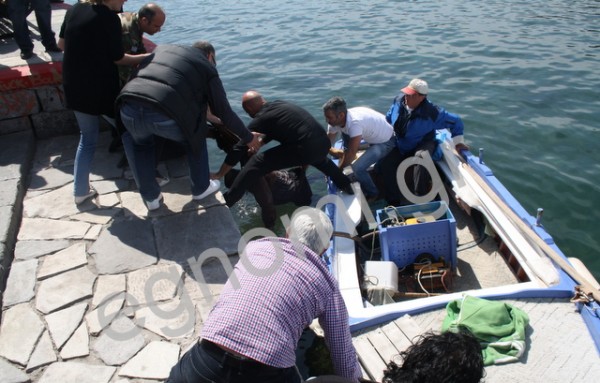 Nεκρός ο άνδρας που βούτηξε από τη Γέφυρα του Ευρίπου στη Χαλκίδα