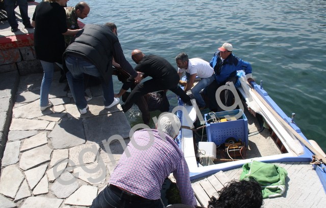 Nεκρός ο άνδρας που βούτηξε από τη Γέφυρα του Ευρίπου στη Χαλκίδα
