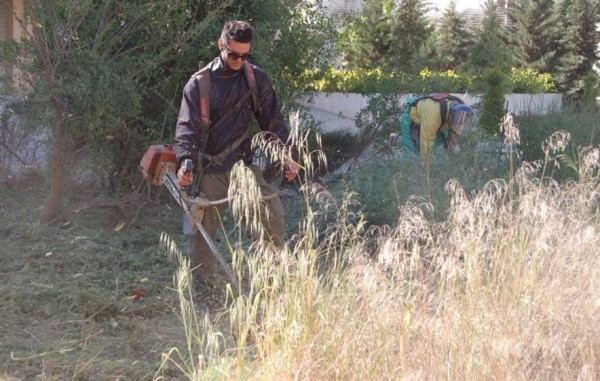 Καθαρίστε οικόπεδα και χωράφια
