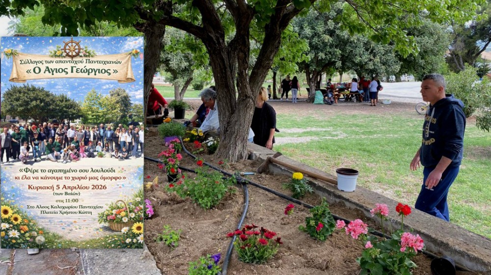 ΚΑΛΟΧΩΡΙ-ΠΑΝΤΕΙΧΙ: Λουλούδια και χαμόγελα γεμίζουν το Άλσος στην 4η Λουλουδοφύτευση