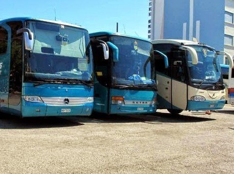 ΙΣΤΙΑΙΑ: Δύο ποντικοί τρύπωσαν σε σταθμευμένα λεωφορεία και έκλεψαν λεφτά και ηλεκτρονικές συσκευές