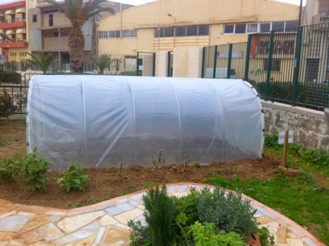 16χρονος καλλιεργούσε χασίς στο σχολείο του!