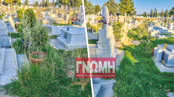 ΚΟΙΜΗΤΗΡΙΟ ΧΑΛΚΙΔΑΣ: Εικόνες γεμάτες ...ασέβεια