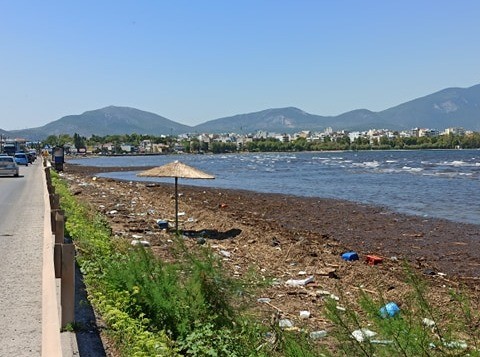 ΛΙΑΝΗ ΑΜΜΟΣ -ΧΑΛΚΙΔΑ: Απίστευτη εικόνα παρουσιάζει η παραλία
