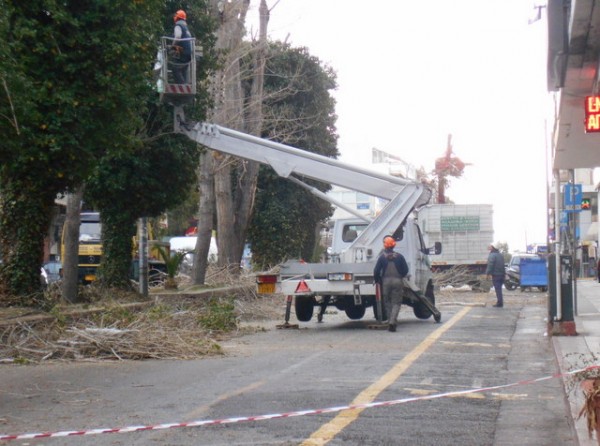 Διακοπή κυκλοφορίας λόγω κλαδέματος σε δρόμους της Χαλκίδας την Κυριακή