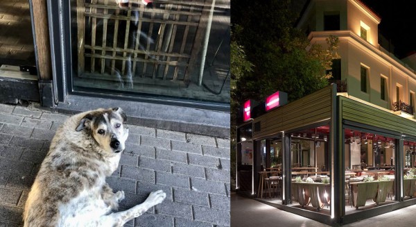 ΧΑΛΚΙΔΑ: Μάταια περιμένει ο Τάσος έξω από το κλειστό Πάνθεον