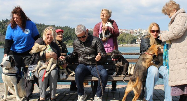 ΖΩΟΦΙΛΟΣ ΣΥΛΛΟΓΟΣ ΧΑΛΚΙΔΑΣ: Βγήκαν βόλτα στην παραλία