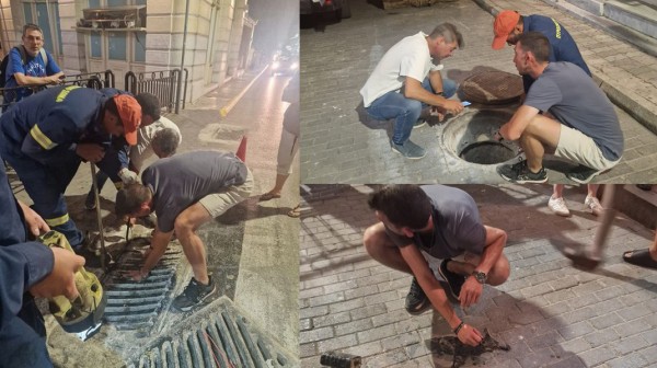 ΧΑΛΚΙΔΑ: Επιχείρηση διάσωσης γατούλας στην οδό Φαρμακίδου