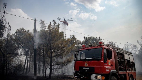 Φωτιά στο Συκάμινο Ωρωπού - Το 112 ήχησε και στη Χαλκίδα!