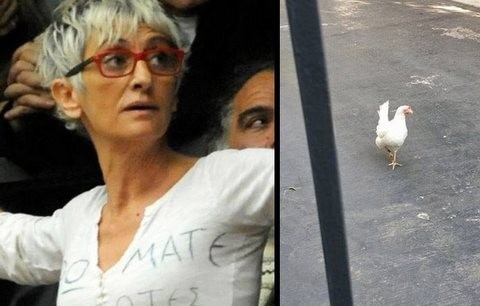 Ακτιβίστρια πέταξε μια κότα μέσα στο Μέγαρο Μαξίμου!