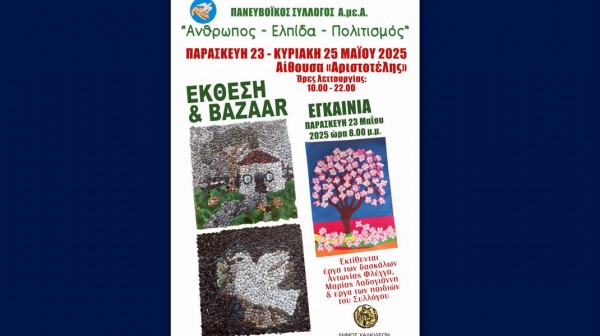 ΧΑΛΚΙΔΑ: Εικαστική έκθεση και bazaar στην αίθουσα Αριστοτέλης του Δημαρχείου