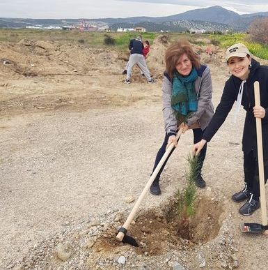 ΛΑΜΨΑΚΟΣ ΧΑΛΚΙΔΑΣ: Φύτεψαν 180 δενδράκια δίπλα στο Γυμνάσιο (φωτό)
