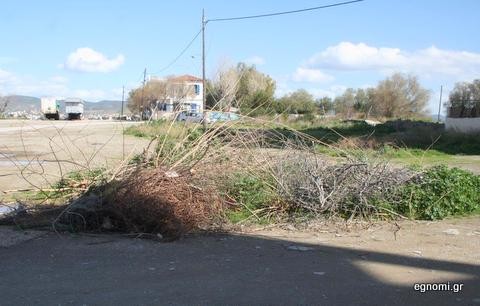 Κλαδιά και ξερόχορτα στην αλάνα
