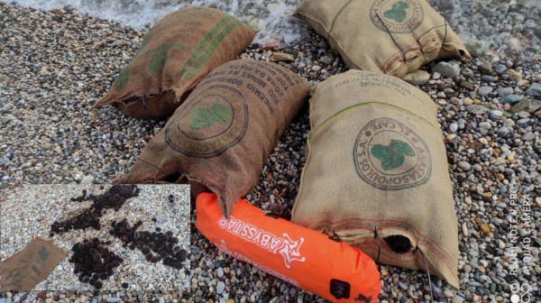 ΕΥΒΟΪΚΟΣ ΚΟΛΠΟΣ: Κατασχέθηκαν από το Λιμεναρχείο 2000 αχινοί στην περιοχή της Μαλεσίνας