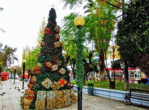 Mετακόμισε φέτος το Χριστουγεννιάτικο δένδρο της Χαλκίδας