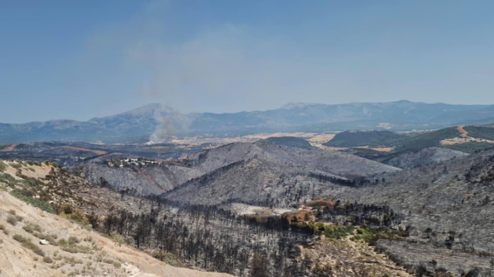 ΦΩΤΙΑ-ΕΥΒΟΙΑ: Έσβησε, αλλά άφησε μεγάλες πληγές
