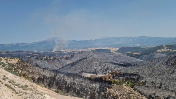 ΦΩΤΙΑ-ΕΥΒΟΙΑ: Έσβησε, αλλά άφησε μεγάλες πληγές