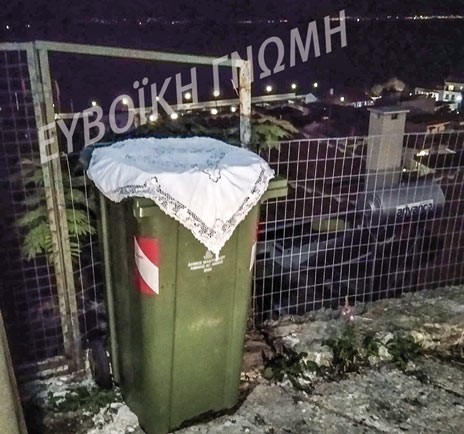 ΛΙΜΝΗ: Νοικοκυρά ...δημιούργησε σε κάδο απορριμμάτων
