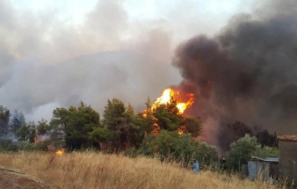 ΦΩΤΙΑ ΙΣΤΙΑΙΑ: Αναζητείται 64χρονος ως ύποπτος για την έναρξη της φωτιάς