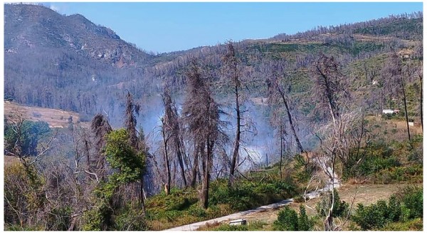 ΒΟΡΕΙΑ EYBOIA: Φωτιά κοντά στην Κεράμεια προκάλεσε προβλήματα στην ηλεκτροδότηση