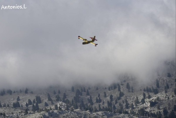 ΣΕΤΑ ΕΥΒΟΙΑΣ: Μεγάλη φωτιά καίει το ελατοδάσος στην περιοχή της  Αμπουδιώτισσας