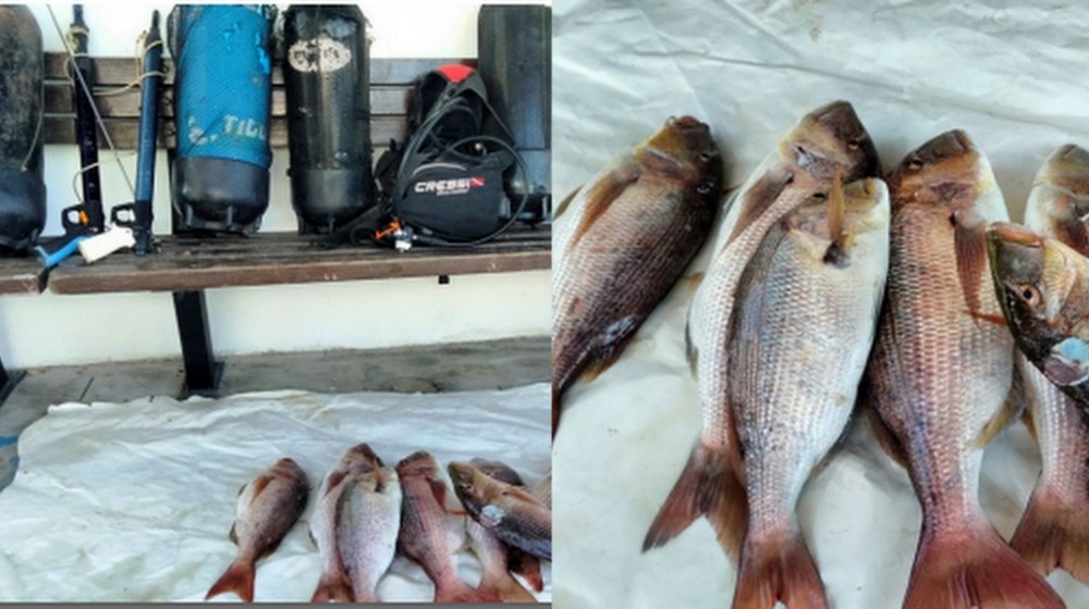 ΕΛΛΗΝΙΚΑ ΕΥΒΟΙΑΣ: Ψάρευαν παράνομα συναγρίδες με μπουκάλες μέσα στη νύχτα δύο ψαροντουφεκάδες