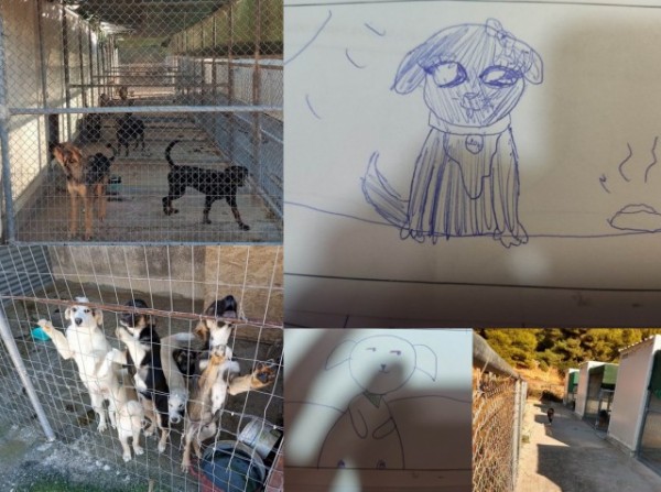 ΧΑΛΚΙΔΑ: Προτάσεις για την καλύτερη λειτουργία του Δημοτικού Κυνοκομείου