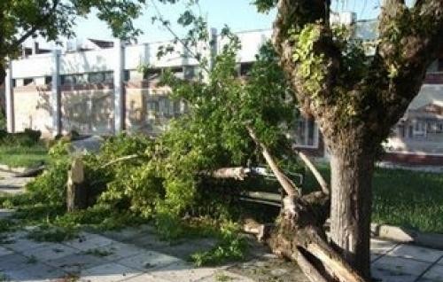 Μεγάλες καταστροφές στο Δήμο Ερετρίας