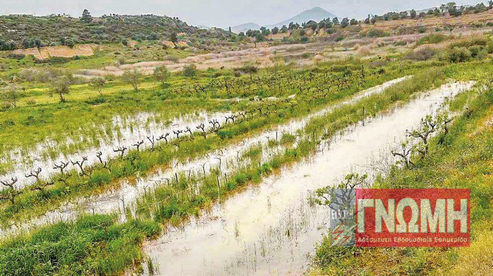 ΦΥΛΛΑ: Πλημμύρισε χωράφι από σπασμένο αγωγό