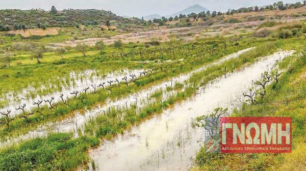 ΦΥΛΛΑ: Πλημμύρισε χωράφι από σπασμένο αγωγό