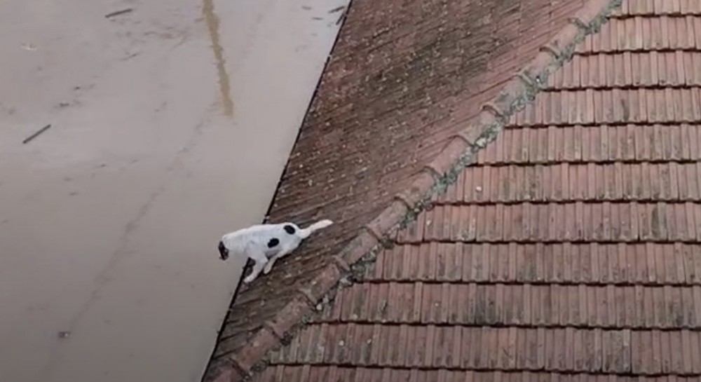 Βιβλική καταστροφή στην Καρδίτσα - Ρίχτηκαν στη μάχη ένοπλες δυνάμεις, ΕΜΑΚ και ελικόπτερα!