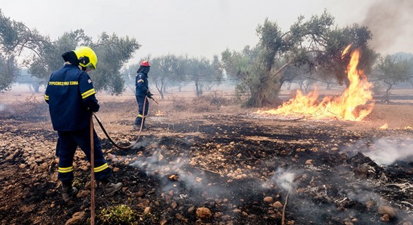 Σε απόγνωση πυρόπληκτοι παραγωγοί της Βόρειας Εύβοιας