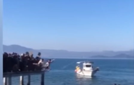 Τραυματίας με κατάγματα νεαρός που έπεσε για τον Σταυρό στη Σκάλα Θεολόγου στη Μαλεσίνα (VIDEO)