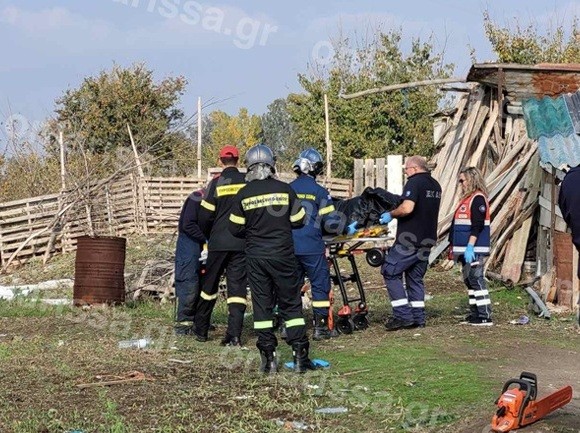 Δέντρο καταπλάκωσε και σκότωσε γυναίκα