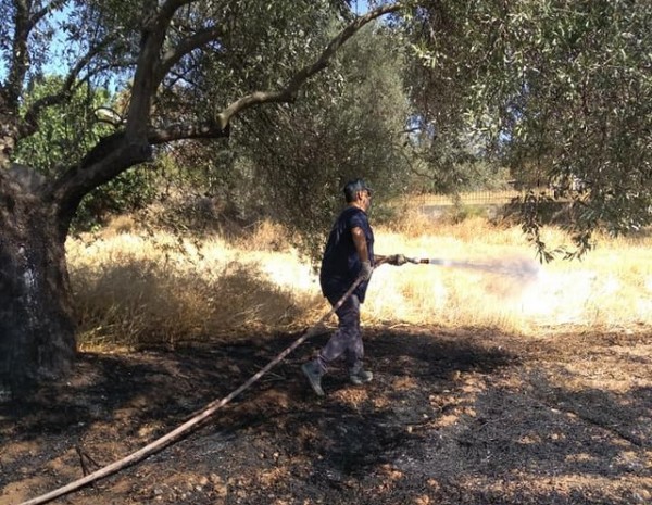 ΑΜΑΡΥΝΘΟΣ: Φωτιά σε ξερόχορτα