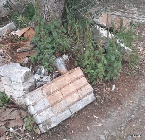 Παρτέρια σκουπιδότοποι στη Χαλκίδα