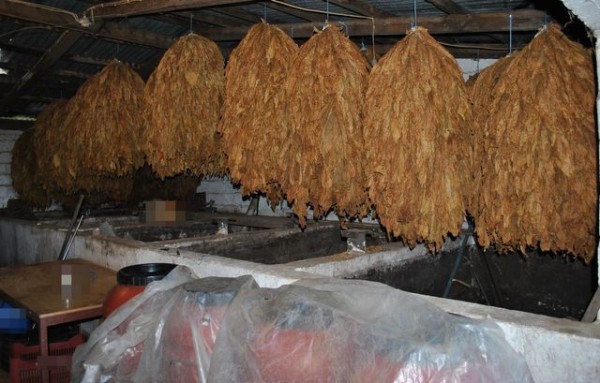 Μεγάλη υπόθεση λαθρεμπορίας καπνού και τσίπουρου στην περιοχή της Λαμίας