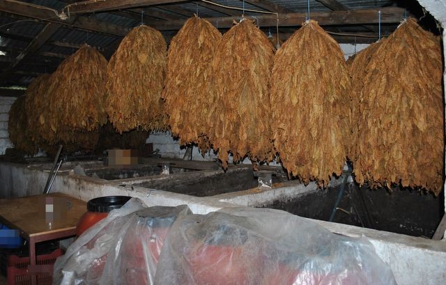 Μεγάλη υπόθεση λαθρεμπορίας καπνού και τσίπουρου στην περιοχή της Λαμίας