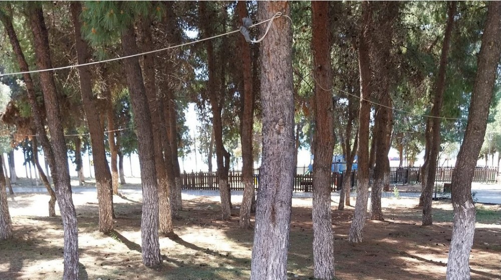 ΑΡΤΑΚΗ: Τσιγγάνοι έβαλαν φωτιά στο Πάρκο των Κυζικείων για να ψήσουν αρνί