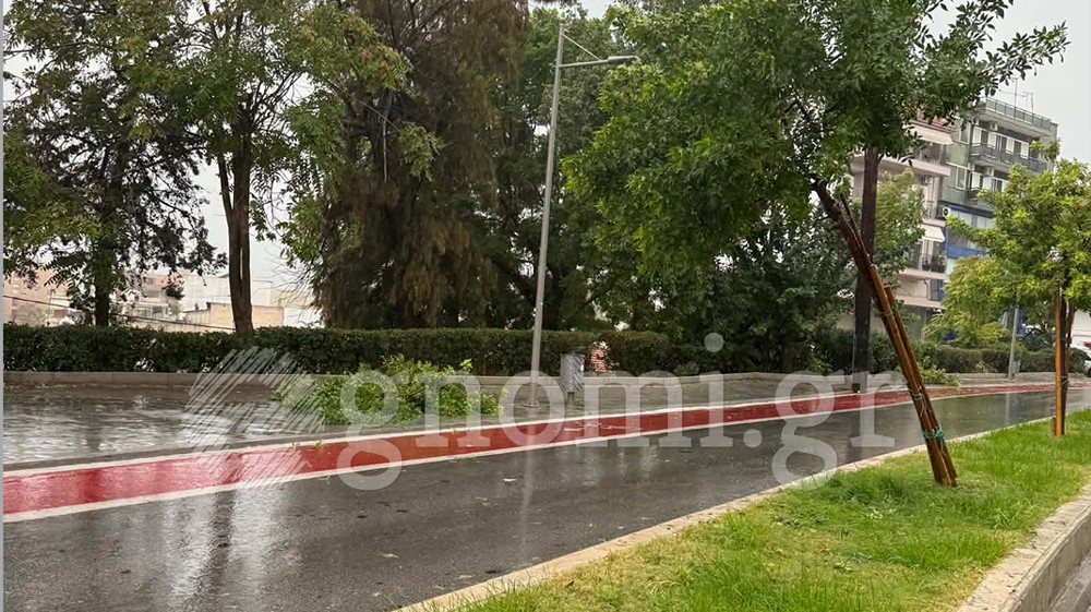 ΚΑΚΟΚΑΙΡΙΑ-ΧΑΛΚΙΔΑ: Εγειραν τα νέα δεντράκια στη λεωφόρο Βενιζέλου (ΦΩΤΟ)