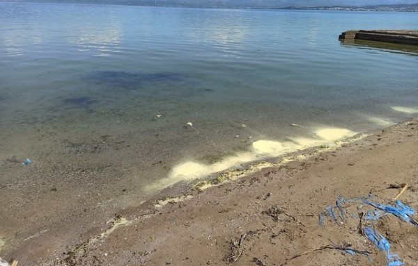 ΧΑΛΚΙΔΑ: Γέμισαν κίτρινες κηλίδες οι παραλίες της πόλης